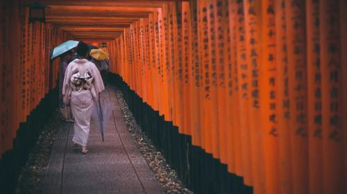 1-day tour to Kyoto, Nara and Uji | Nara Park, Byodoin Temple, Fushimi Inari and Tōdai-ji Day Tours yInuTYD1
