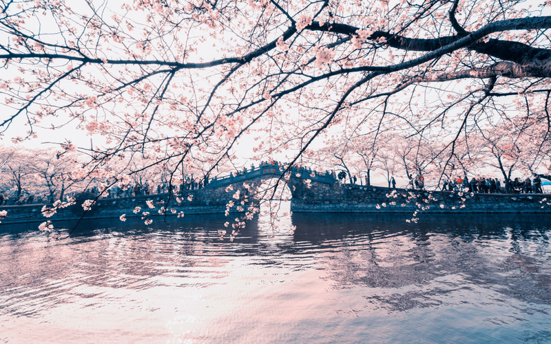 Wuxi Yuantouzhu + Three Kingdoms City + Water Margin City Private Day Tour  wsvYjrck