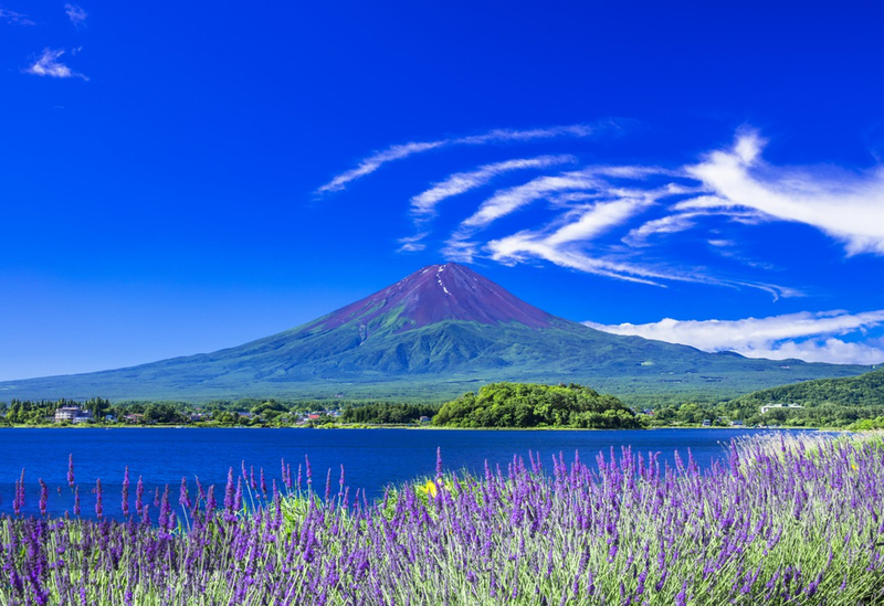 Mount Fuji's top six Instagrammable spots one-day tour: Lake Yamanaka & Nikawa Tokei Shop & Arakura Sengen Park & Lawson convenience store & Oshino Hakkai & Lake Kawaguchi one-day tour [Small group of 9 people] YqvKNO39