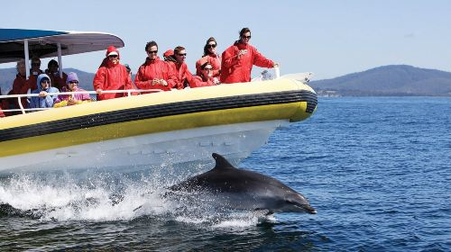 3-hour wilderness cruise on Tasmanian Bruny Island [optional departure from Hobart] Day Tours EUZXYPYq