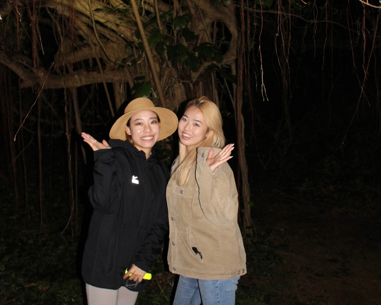 Miyako Island: Stargazing & Tropical Jungle Night Tour Yrg46Pcc