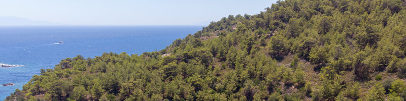 Bodrum: Orak Island, German Bay & Red Bay Boat Tour w/ Lunch xgwIGbsK