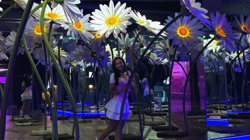 Art In Island RHVfjfPS