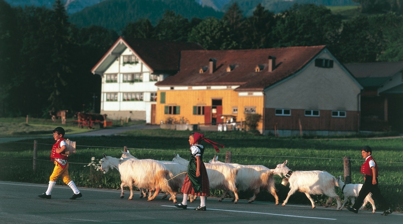 Swiss Mountain, Farm Visit and Cheese Tasting Tour in Appenzell 1t1Dk5Dh
