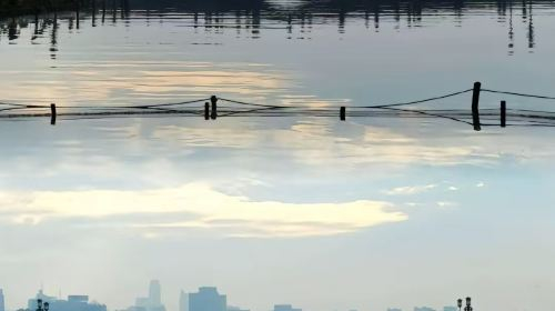 Hangzhou West Lake-Lingyin Temple-Leifeng Pagoda one-day tour(English service available/multiple Vehicle Type available) Day Tours uJdoPIqx