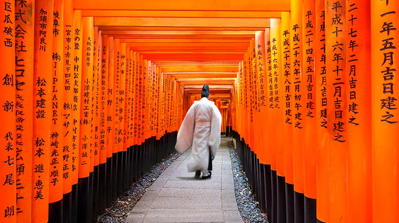 [Kyoto World Heritage and Popular Attractions Day Trip] Nijo Castle & Kinkaku-ji (Golden Pavilion) & Fushimi Inari-taisha Shrine's Thousand Torii Gates & Arashiyama Togetsukyo Bridge & Kimono Forest & Bamboo Grove (Departure from Osaka or Kyoto) 2PnMqg0k