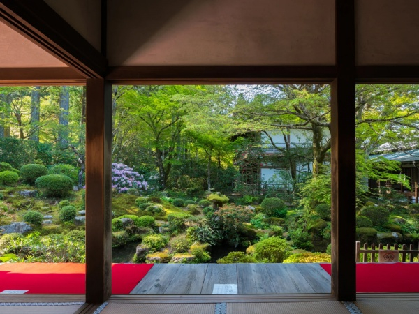 One-day trip to Kyoto's Kifune Shrine, Arashiyama, and Sanzen-in Temple B2s3q8KP