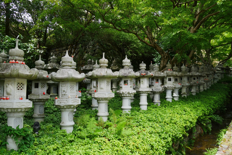 Kyoto Temple Pilgrimage: Bamboo Grove & Kinkaku-ji fEe8mwnT