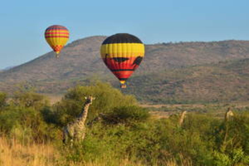 Hot Air Balloon Safari Xqq2jNLo