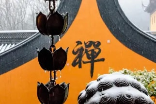 Hangzhou Day Trip from Shanghai/Hangzhou | West Lake + Lingyin Temple + High-Speed Rail Round Trip · English Small Group Tour wbdguLpT