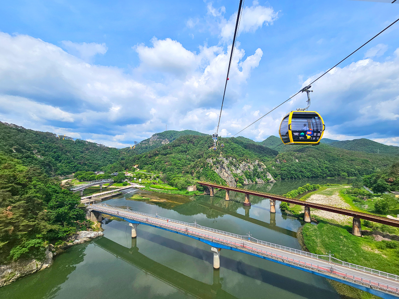 Bangye-ri Ginkgo Tree Day Tour from Seoul : Wonju & Cable Car 4RqlalVF