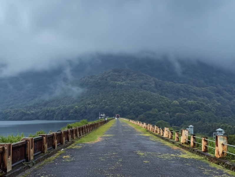 Kochi: Private Kerala Scenic Beauty Day Tour with Lunch a0PC95sN
