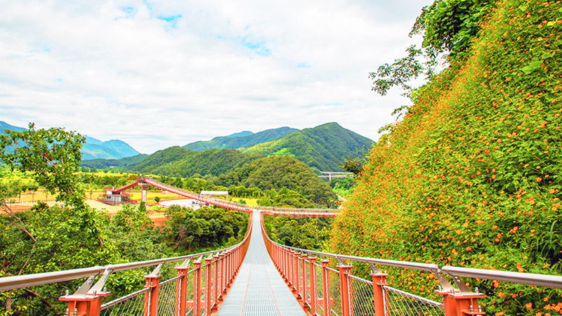 Pocheon Day Tour: Y Suspension Bridge, Art Valley & Herb Island BbhmWesE