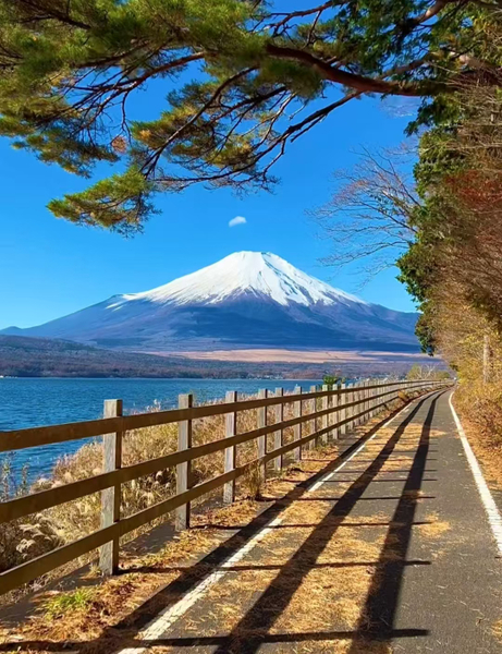 [Mount Fuji Instagram-Worthy Day Trip] Small Group Tour/Photogenic Route & Lake Yamanaka Swan Beach + Hirano Beach + Nikawa Clock Shop + Kawaguchiko Station Entrance Kintorii (Departure from Ikebukuro/Ueno) 2vJs8GZ7