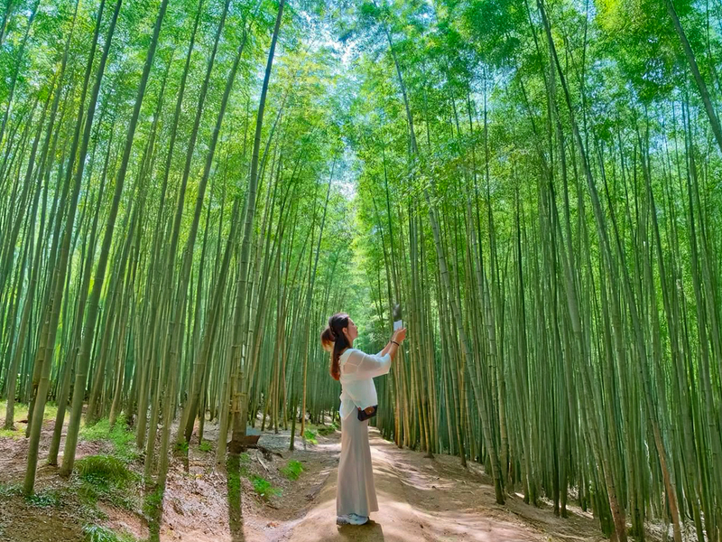 Gyeongju Cultural & Historic Legacy Tour from Busan zjR07Nei