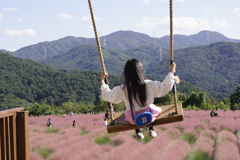 Sanjeong Lake+Art Valley + Jaein Falls Tour from Seoul gAN2esQL
