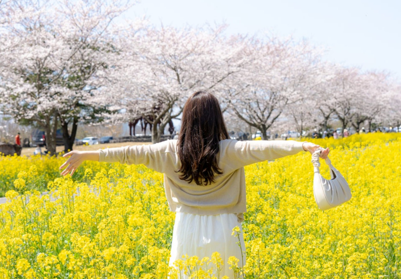 Jeju Southwest/West Highlights Day Tour – Convenient Seogwipo Pickup VpR4c3Lp