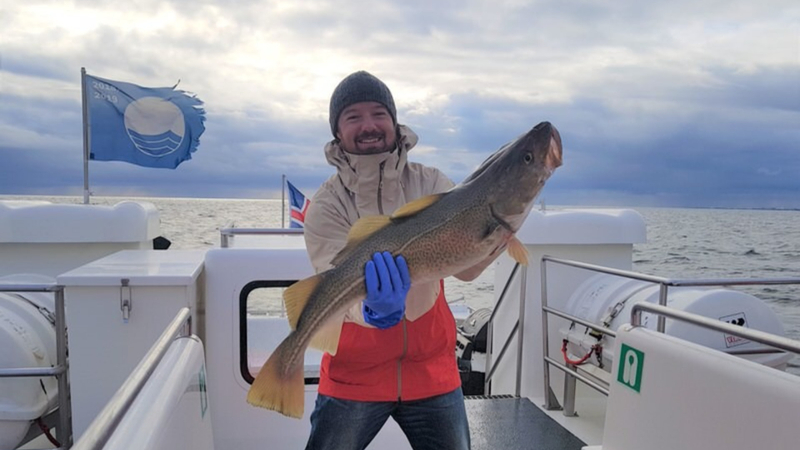 Reykjavik Faxaflói Bay 2.5-Hour Small Group Fishing Tour srYWTVuj