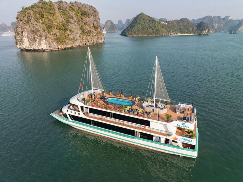Aurora Day Cruise: Ha Long Bay with Sung Sot & Ti Top WZLQQe8z