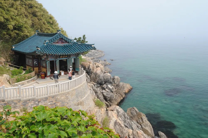 Mt.Seoraksan/Nami island/ Naksansa temple/Morning calm garden tour rm5NjnOo