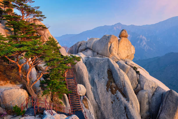 Mt.Seoraksan/Nami island/ Naksansa temple/Morning calm garden tour ZskMDRYd