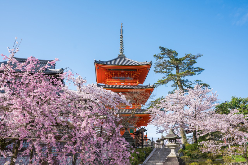 Kyoto & Uji World Heritage One-Day Tour: Kinkaku-ji Temple & Kiyomizu-dera Temple & Byodo-in Temple & Uji Matcha Food Street (Departing from Osaka or Kyoto) LvZ9ykbn
