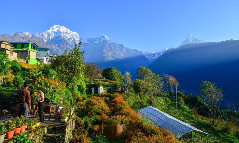 Pokhara: Dhampus to Astam Day Hike with Guide 4KuueXDd