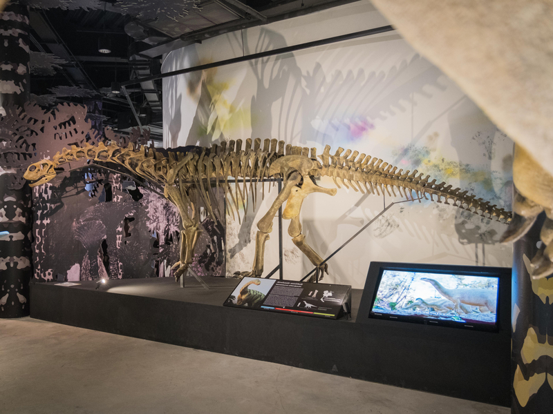 Thainosaur Museum at Asiatique The Riverfront 2Dv0OiyB