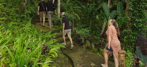Mount Batukaru Bali Trekking by Alassari 5gRiH5Ob