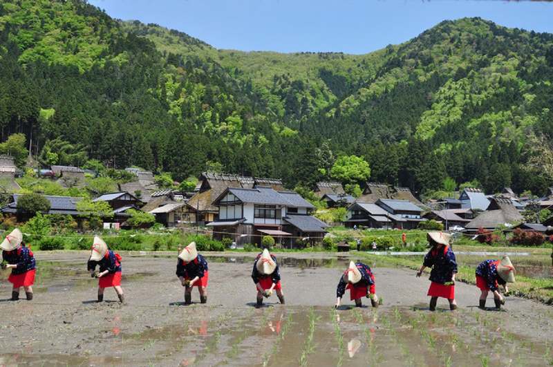 Kyoto Gassho Village Miyama Thatched Roof Village, Amanohashidate, and Ine Boathouse Day Trip [Limited Miyama Water Release Ceremony/Snow Lantern Corridor Illumination] | Departure from Osaka hTcdvRtN
