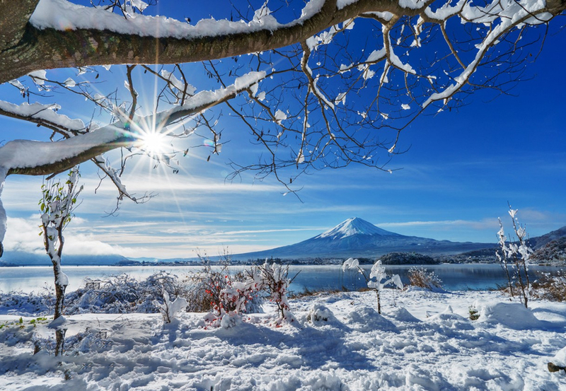 【Six Must-Visit Photo Spots for Mount Fuji + Flower Viewing】Lake Yamanaka for Mount Fuji Reflection & Hikawa Clock Shop & Lawson Convenience Store & Arakurayama Sengen Park & Lake Kawaguchiko | Departing from Tokyo aWleK8Vq
