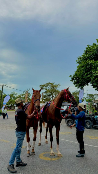 Desaru Fruit Farm Horse Riding Experience xnNvLqCK