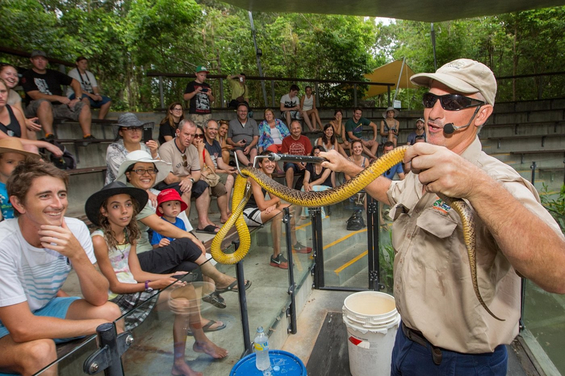 Hartleys Crocodile Adventures Full or Half Day Tour dSmuVNmo