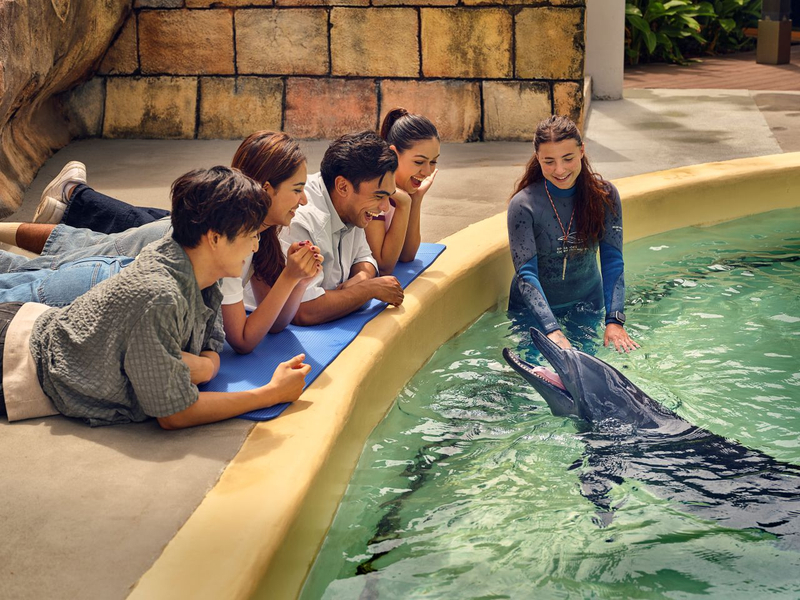 COMBO: Universal Studios Singapore + Singapore Oceanarium + Adventure Cove Waterpark Tickets 82iTXPIG