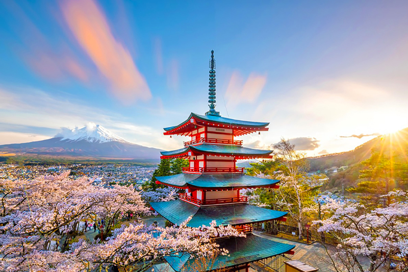 One-day tour of 7 popular Instagram spots on Mount Fuji: Lake Yamanaka, Hikawa Clock Shop, Arakurayama Sengen Park, Lawson convenience store, Oshino Hakkai, Lake Kawaguchi, and Jinba Stables. CYGMpLGP