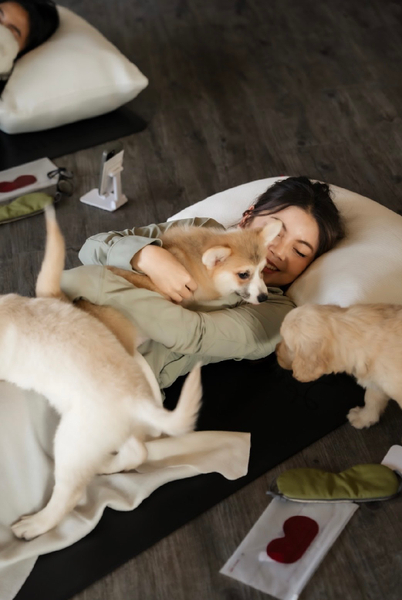 Puppy & Kitten Yoga Therapy with Photo Experience in Bangkok F6KISyvV