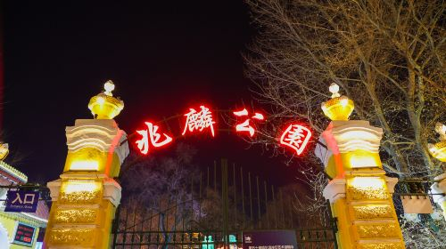 Central Street Z4wSWbeJ