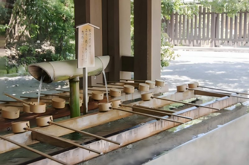 Tokyo: Meiji Shrine & Shinto Culture Walking Tour GDdSi4od