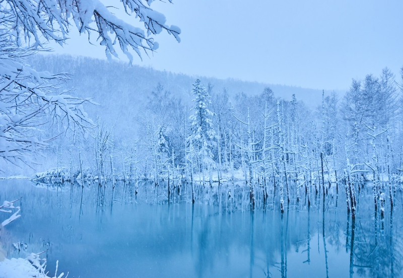 【11 AM Departure Winter Illumination】Ningle Terrace & Shirogane Blue Pond Illumination & Shirahige Waterfall & Shikisai no Oka One-Day Tour (Departing from Sapporo) CjJZmrqk