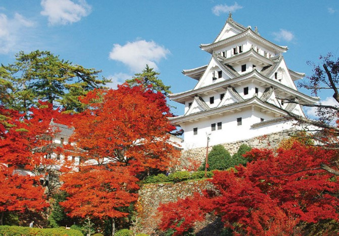 A day trip to Kami-Yamana, Hida, Takayama, and Shirakawa-go Gassho-zukuri villages in Nagoya. FUGCw9qw