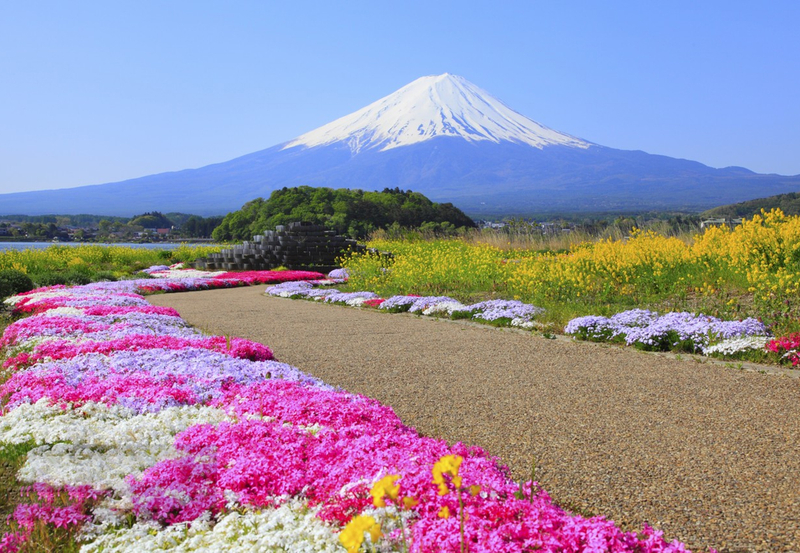 Mount Fuji & Lake Kawaguchiko tour with Ropeway experience JzWPlqL1