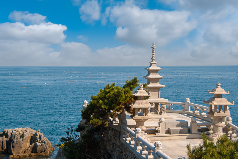 Busan Shore Excursion: Highlights & Street Food for Cruise Guests rU9GFFlY
