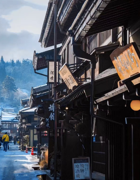 Shirakawa-go Gassho Village & Hida Takayama Old Town Walking Day Tour in Central Japan (Departing from Nagoya) 0mvVMt37