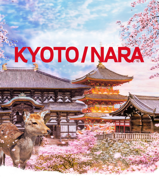 Best of Kyoto & Nara: Kiyomizudera, Nara Park, Todaiji & Much More jcSXxxZG