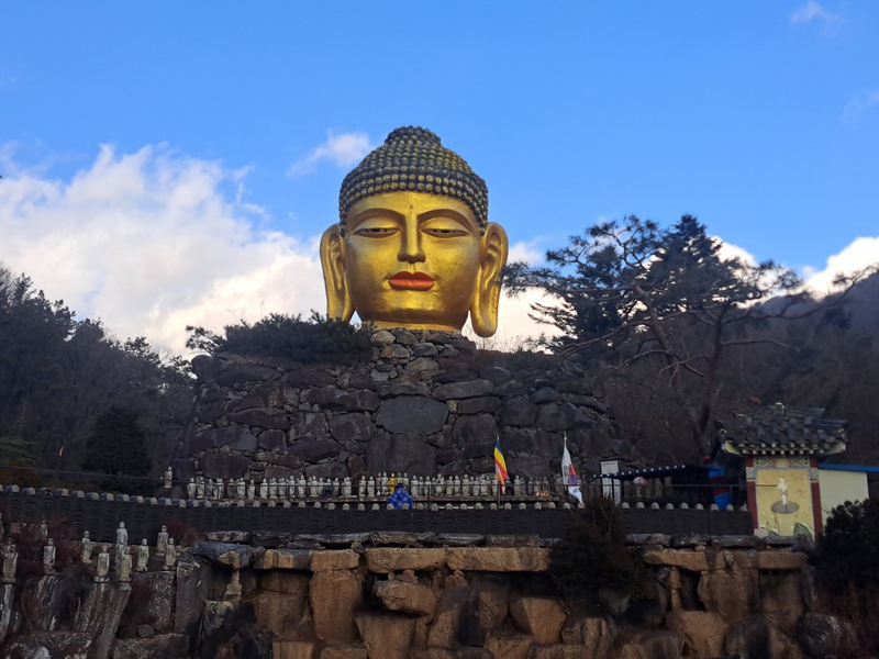 Seoul Suwon Hwaseong Fortress Full-Day Tour TpgdHjzr
