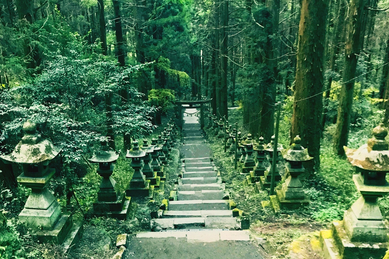 Miyazaki & Kumamoto Exploration Tour | Kamishikimi Kumanoza Shrine, Amano Iwato, Takachiho Gorge, Mount Aso, & Kurokawa Onsen Day Trip | From Fukuoka AfRQWKan