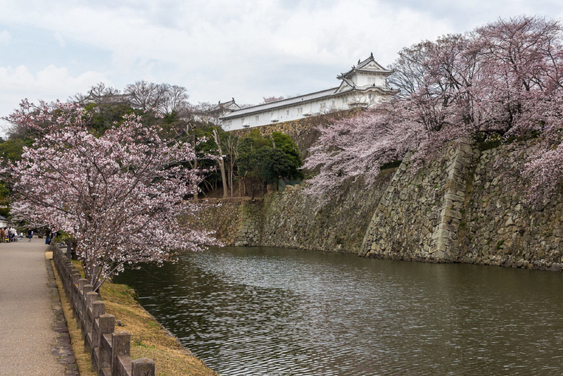 Himeji Castle & Engyoji Temple Half-Day Cultural Tour FxDSu6ia