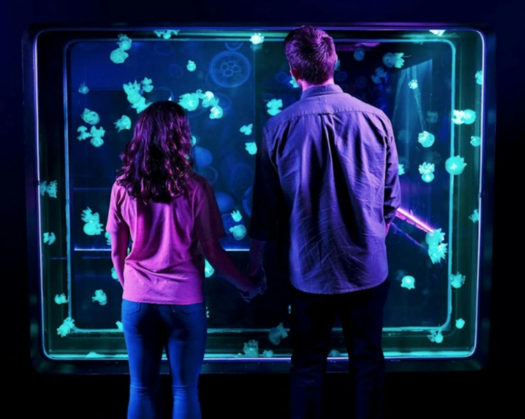 SEA LIFE New Jersey Aquarium Ticket UZVrfplI