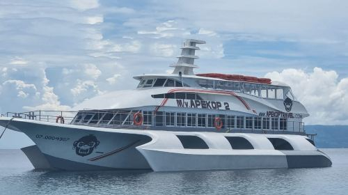 Bohol-Oslob round-trip boat ticket | Efficient round-trip route for quick whale shark viewing Transport Passes 7MKIXLJG