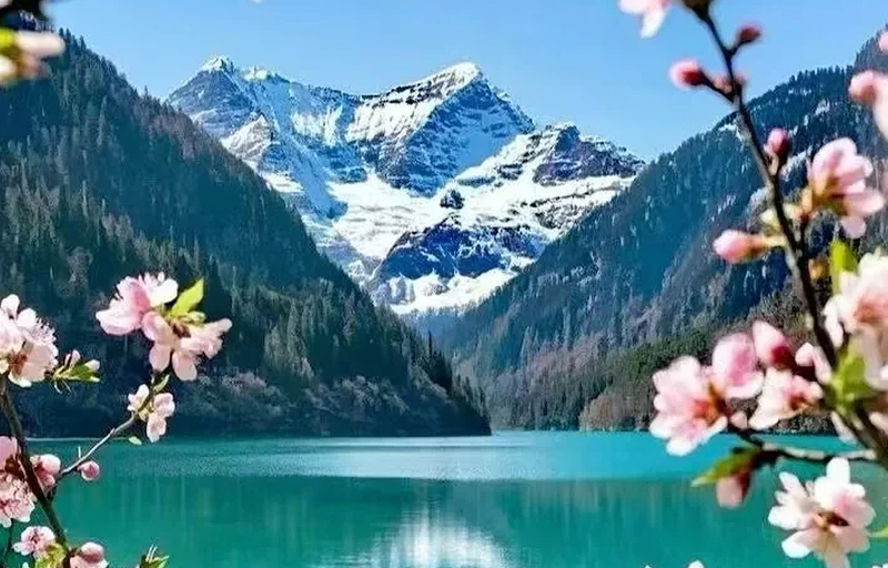Jiuzhaigou National Park Day Tour (High-Speed Rail Station Pick-up and Drop-off) iwUv8kQQ